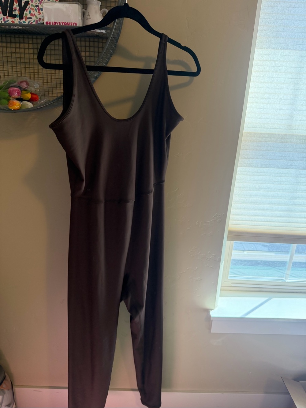 Sleek Sleeveless Jumpsuit in Deep Brown